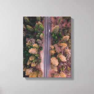 Impressão Em Tela fotografia da estrada no meio do ponto de vista do