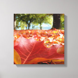 Impressão Em Tela Fotografia da Natureza Painéis de Arte de Folhas d