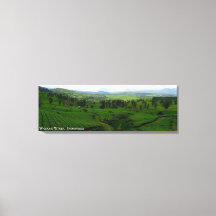 Fotografia da Paisagem da Plantação de Chá Mountai