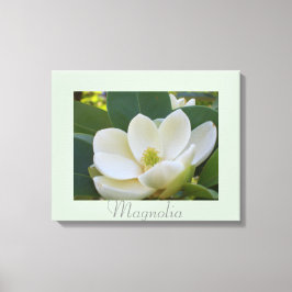 Impressão Em Tela Fotografia das flores brancas da magolia