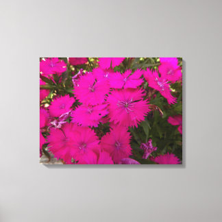 Impressão Em Tela Fotografia das flores cor-de-rosa brilhantes
