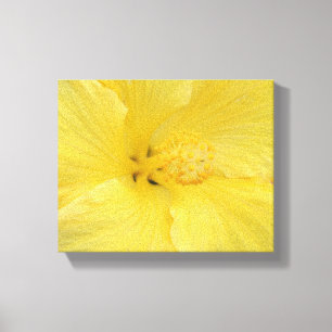 Impressão Em Tela Fotografia de Arte Fino do Hibisco Amarelo do Hava