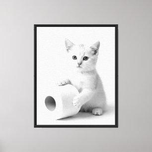 Impressão Em Tela Fotografia de Estúdio de Gato Branco Minimalista D