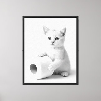 Impressão Em Tela Fotografia de Estúdio de Gato Branco Minimalista D