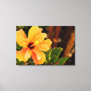 Impressão Em Tela Fotografia de Flor de Hibisco
