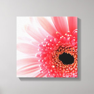 Impressão Em Tela Fotografia de Gerbera Daisy Rosa Fresca