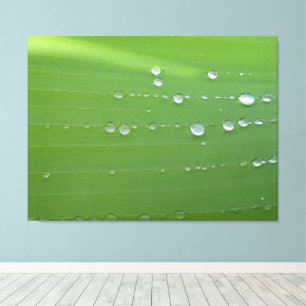 Impressão Em Tela Fotografia de Gotículas de Chuva em Folha Verde