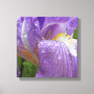 Impressão Em Tela Fotografia de Íris Roxo