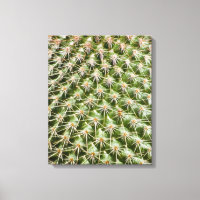 Fotografia de Macro Cactus