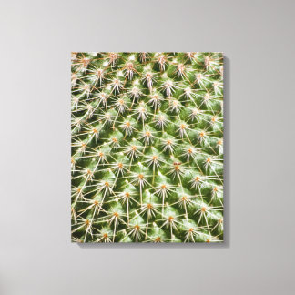 Impressão Em Tela Fotografia de Macro Cactus