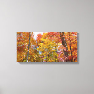 Impressão Em Tela Fotografia de Outono de Árvores Laranja e Amarela