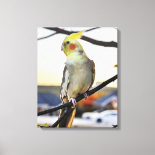 Impressão Em Tela Fotografia de Perfil de um Cacatua