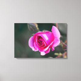 Impressão em Tela Fotografia de Rosa e Botões