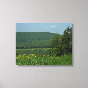 Impressão Em Tela Fotografia de Verão de Laurel Highlands Pensilvâni