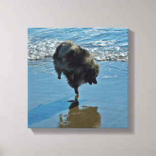 Impressão Em Tela Fotografia do Balé Keeshond - Arte de Cachorro Ori