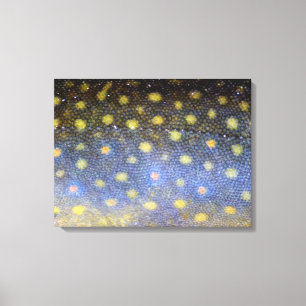 Impressão Em Tela Fotografia do Brook Trout Scales