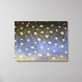 Impressão Em Tela Fotografia do Brook Trout Scales