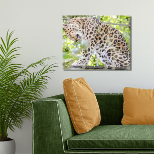 Impressão Em Tela Fotografia Dramática da Vida Selvagem Leopardo
