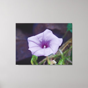 Impressão Em Tela Fotografia em Close-Up de Delicada Flor Morada