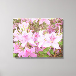 Impressão Em Tela Fotografia em Close-Up de Flor de Azaléia
