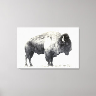 Impressão Em Tela Fotografia histórica de American Bison