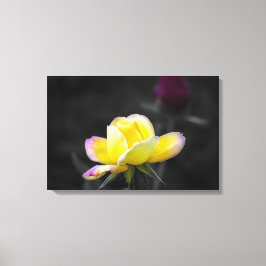 Impressão em Tela Fotografia Rosa Amarela