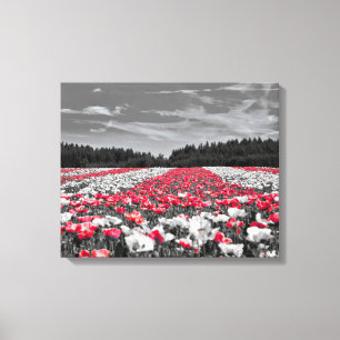 Impressão Em Tela Fotografia Seletiva de Cor Minimalista do Campo Fl
