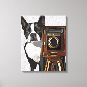Impressão Em Tela Fotógrafo de Boston Terrier