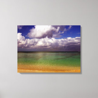 Impressão Em Tela Fotos Inspiracionais Cavas Art Penas de Praia