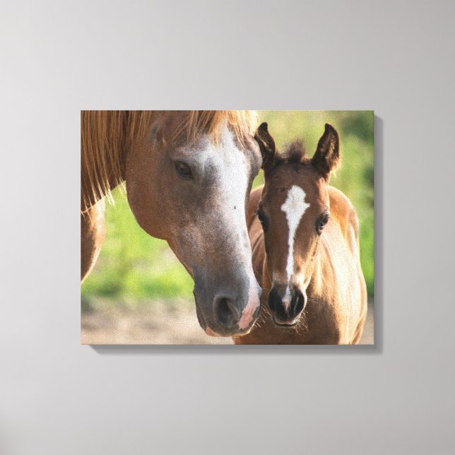 Impressão Em Tela Foul  | Zazzle_Growth. (Frente)