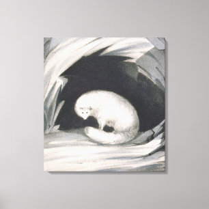 Impressão Em Tela Fox ártico, 'da narrativa de uma segunda viagem