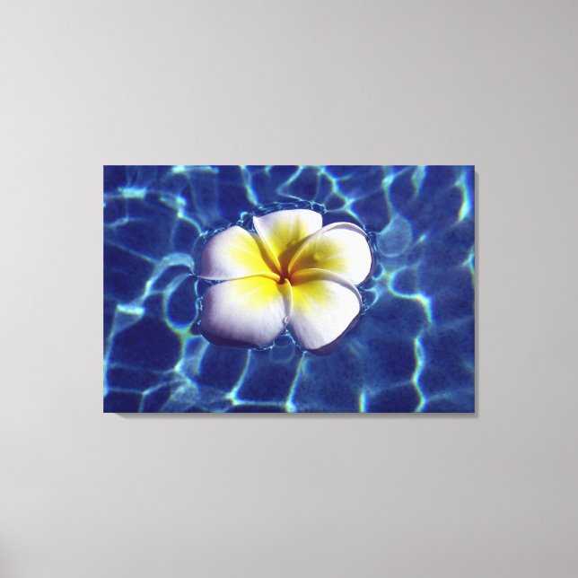 Impressão Em Tela FRANGI FLUTUANTE 24x36 (Frente)