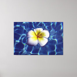 Impressão Em Tela FRANGI FLUTUANTE 40x60