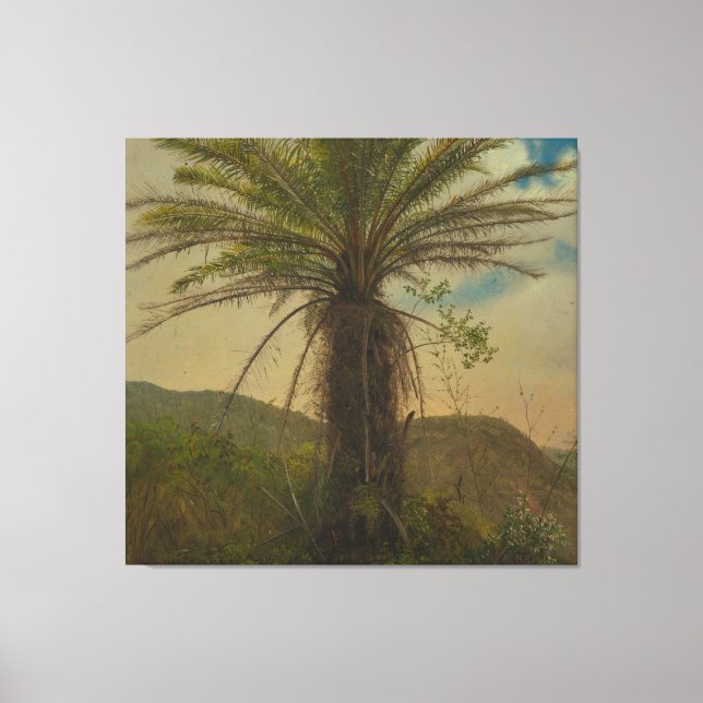 Impressão Em Tela Frederic Edwin Church - Samambaia-arbórea, Jamaica (Frente)