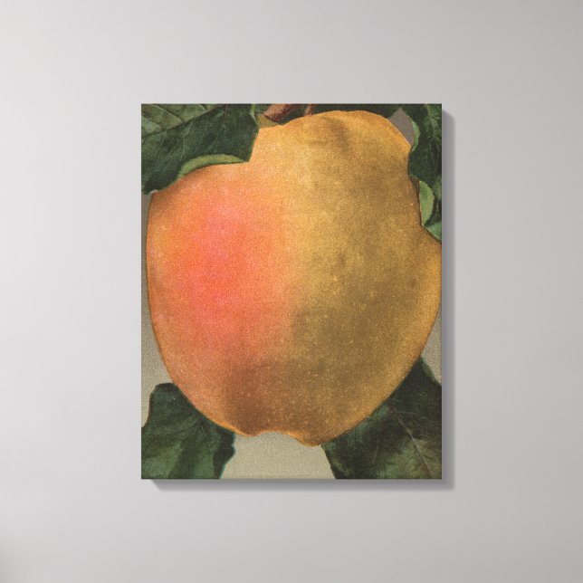 Impressão Em Tela Fruta Cromo Lithógrafo de abelha (Frente)