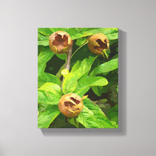 IMPRESSÃO EM TELA FRUTA MEDLAR