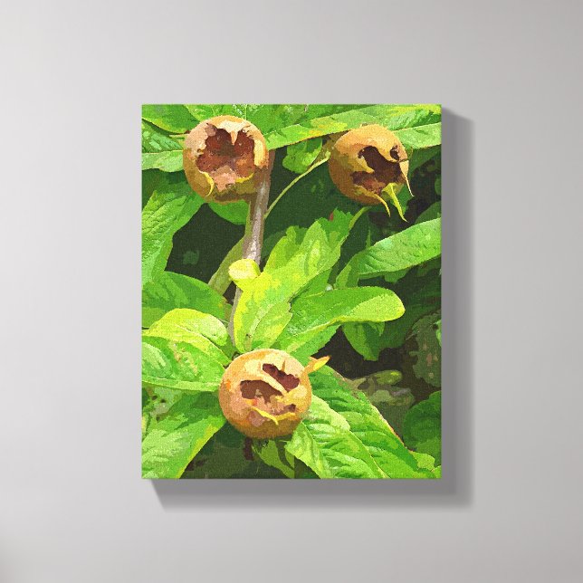 IMPRESSÃO EM TELA FRUTA MEDLAR (Frente)