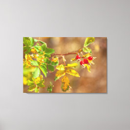 Impressão Em Tela Fruta selvagem