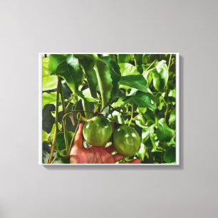 Impressão Em Tela Fruta Verde