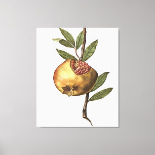 Impressão Em Tela Frutas E Sementes De Pomegranato Do Mediterrâneo