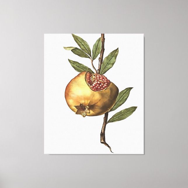 Impressão Em Tela Frutas E Sementes De Pomegranato Do Mediterrâneo (Frente)