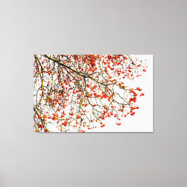 Impressão Em Tela Frutas ruivas ou amoras de cinzas