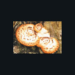 IMPRESSÃO EM TELA FUNGI<br><div class="desc">Um design fotográfico de fungos crescendo em uma árvore.</div>