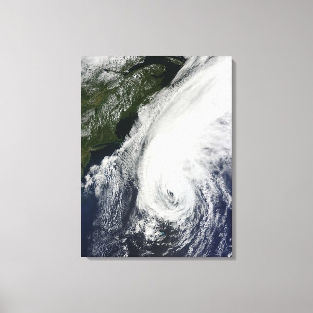 Impressão Em Tela Furacão Igor (Frente)