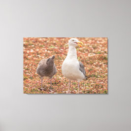 Impressão Em Tela Gaivota e pintinho