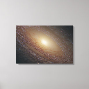 Impressão Em Tela Galáxia Espiral Ngc 2841