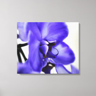 Impressão Em Tela Galeria de Tela Moderna – Arte Elegante