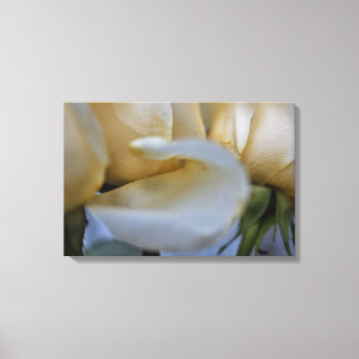 Impressão Em Tela Galeria de Tela Moderna – Arte Elegante para Qualq