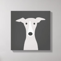 Galgo Grego, Galgo Grego italiano ou Cão Beijo
