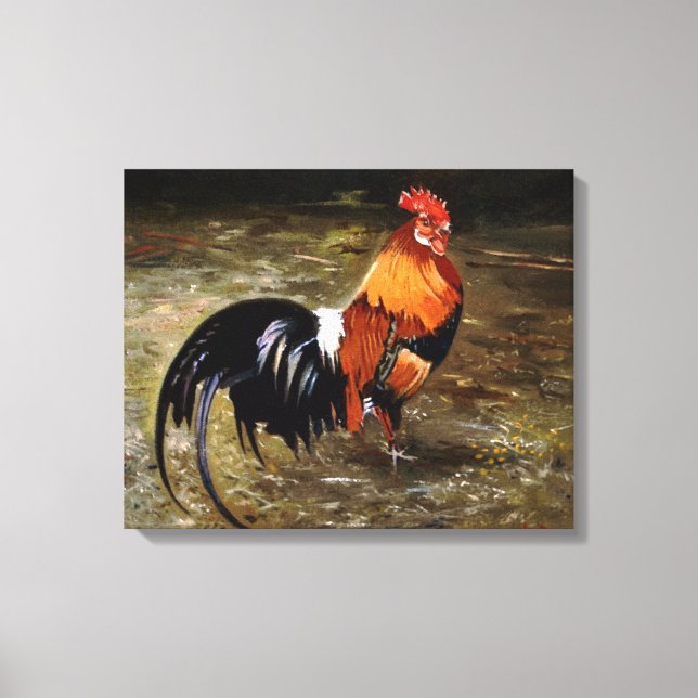Impressão Em Tela Gallo/Galo/Rooster (Frente)